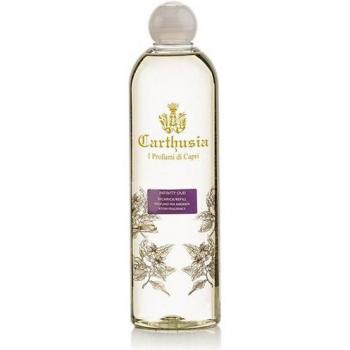 Infinity Oud 500 ml Ricarica Diffusore