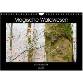 Magische Waldwesen (Wandkalender 2024 DIN A4 quer) CALVENDO Monatskalender