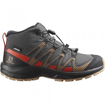Salomon XA Pro V8 MID CSWP Kinder Trekkingschuhe Grau