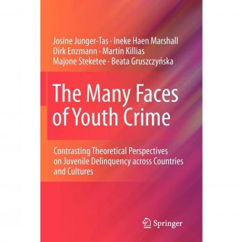 The Many Faces of Youth Crime