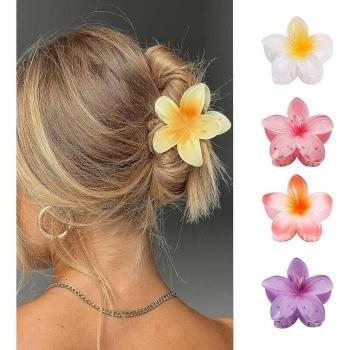 Blumen-Haarspangen-Set (4er)