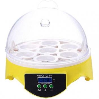 Digital Temperature Egg Incubator