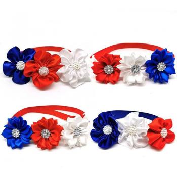 Pet Accessories