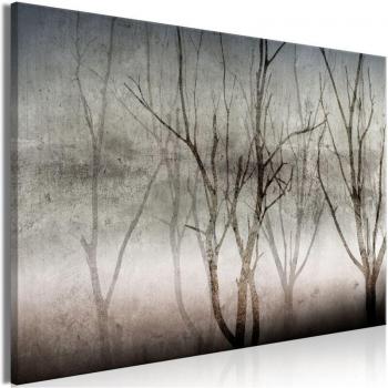 Toile Murale Odeur de Brouillard sur Châssis