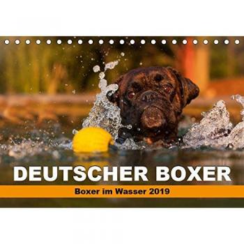 Deutscher Boxer