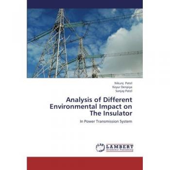 Analysis of Different Environmental Impact on The Insulator