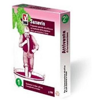 Sanavin Würze‑Stabilisator 100 g