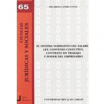 El sistema normativo del salario