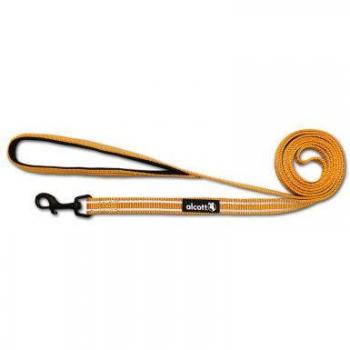 Alcott Ceinture Orange Voyageur M