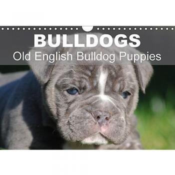 Bulldogs