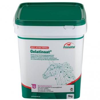 Gelatinaat voor Paarden