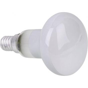 Ampoule Salon Éclatante 500W