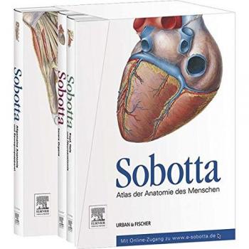Sobotta, Atlas der Anatomie des Menschen3 Bände und Tabellenheft im Schuber, inklusive Zugang zur Sobotta-Website: Allgemeine Anatomie, ... Kopf, Hals, NeuroanatomieTabellenheft, 23e