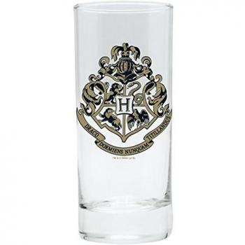 Gläserne Hogwarts von Harry Potter