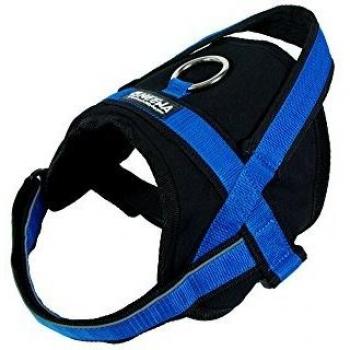 Neewa Arnés Utility Mediano Azul