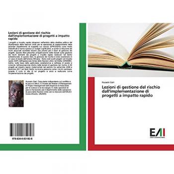 Gari, Hussein: Lezioni di gestione del rischio dall'implementazione di progetti a impatto rapido