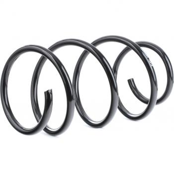 RidgePro Résorteur de Suspension 188C0425