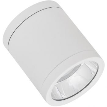 DLSUR DN90P1583036DW Ceiling and Wall Fixture