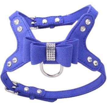 Huisdier Leash voor Puppy