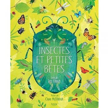 Insectes et petites bêtes