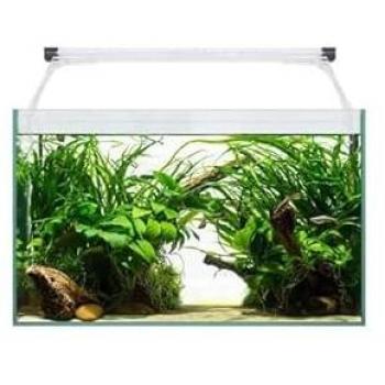 Kit Acuario Aqua Light Glass 80 litros