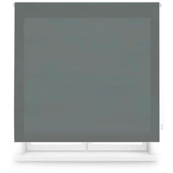 Estor Estilo Minimalista “Transparente Claro”