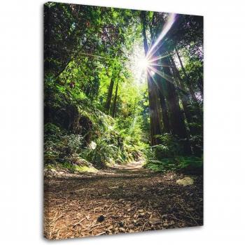Lush Green Jungle Scene Canvas – 40x60