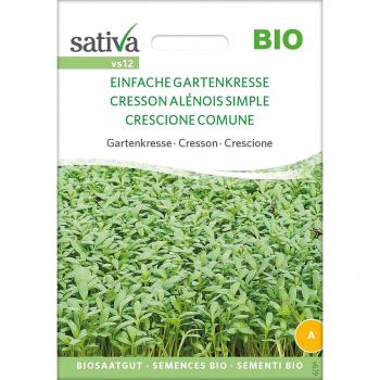 Lepidium sativum Seeds