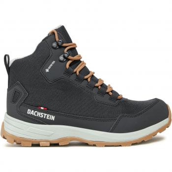 Trekkingschuhe Damen Blau Dachstein Wildcat GTX