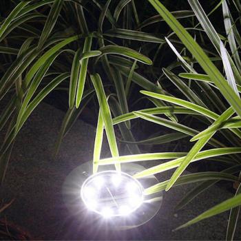 8LED Solar Pathway Light