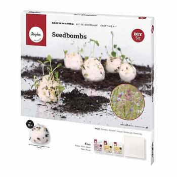 Rayher Kit Bombe Di Semi Naturali