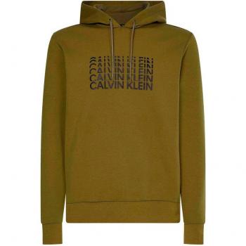 Sudadera con capucha Calvin Klein Verde Gris