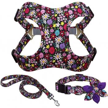 Harnais, collier et laisse pour animaux de compagnie en nylon avec motifs de fleurs