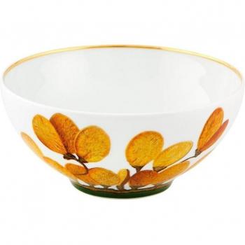 Amazonia Breakfast Bowl by Vista Alegre