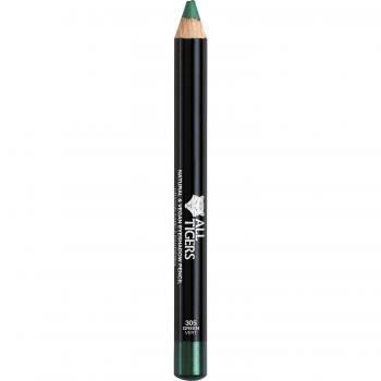 Crayon 305 Grün