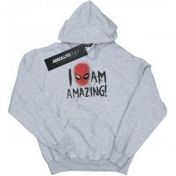 Marvel Boys Spider‑Man I Am Amazing Grey Hoodie