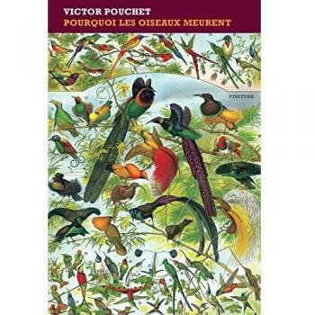 Pourquoi les oiseaux meurent