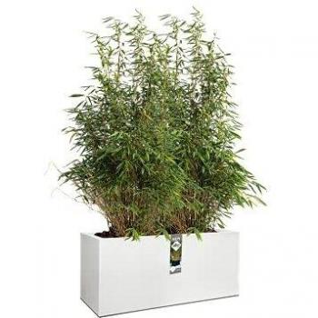 Vivo 90 ELHO Jardinière roulante, finition mate, blanc, 90 L