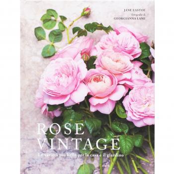 Rose vintage. Le varietà più belle per la casa e il giardino