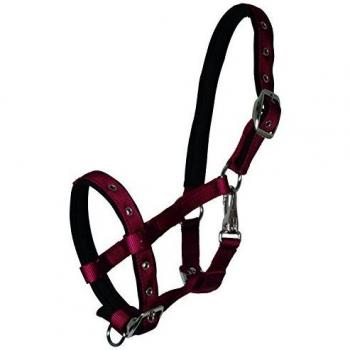 Waldhausen Bordeaux Foal Halter – All Sizes (1 Size)