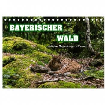 Bayerischer Wald (Tischkalender 2024 DIN A5 quer) CALVENDO Monatskalender