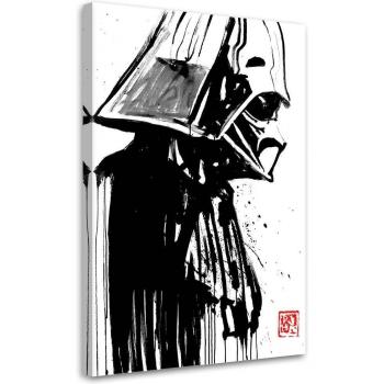 Darth Vader Canvasprint 40x60 wit/zwart