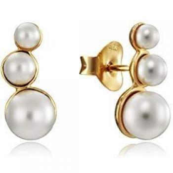 Pendientes de plata Viceroy para mujer