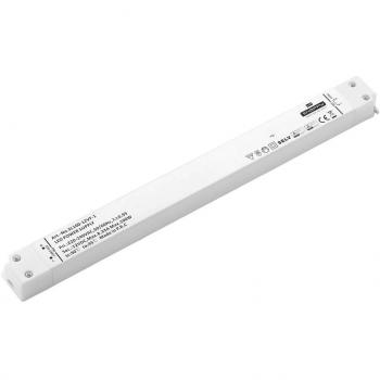 Dehner Elektronik SL 100-12VF-1 100 W LED driver