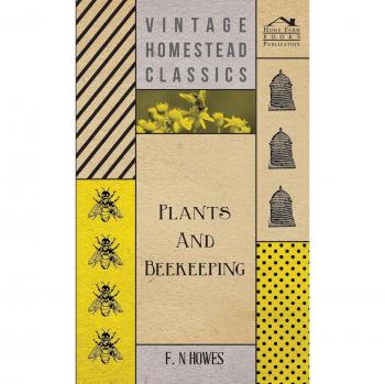 Plants and Beekeeping