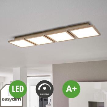 Plafoniera LED 1 luce Aileen