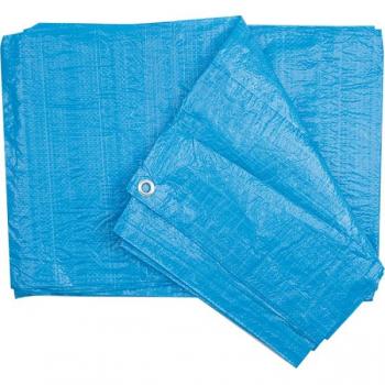 Telo di Protezione Plandeka Blu 65 g – 5 × 6 m