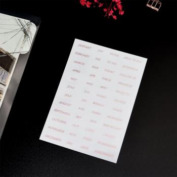 Separador de Carpeta en Espiral SharkBang – Novedad