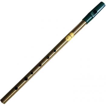 Instrumento musical para principiantes