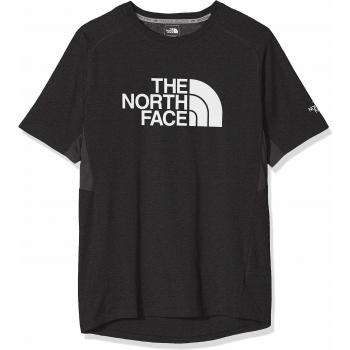 Camiseta Gráfica Wicker Masculina The North Face Gris  XL